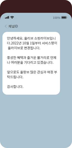카카오 브랜드메시지 텍스트형 예시 화면